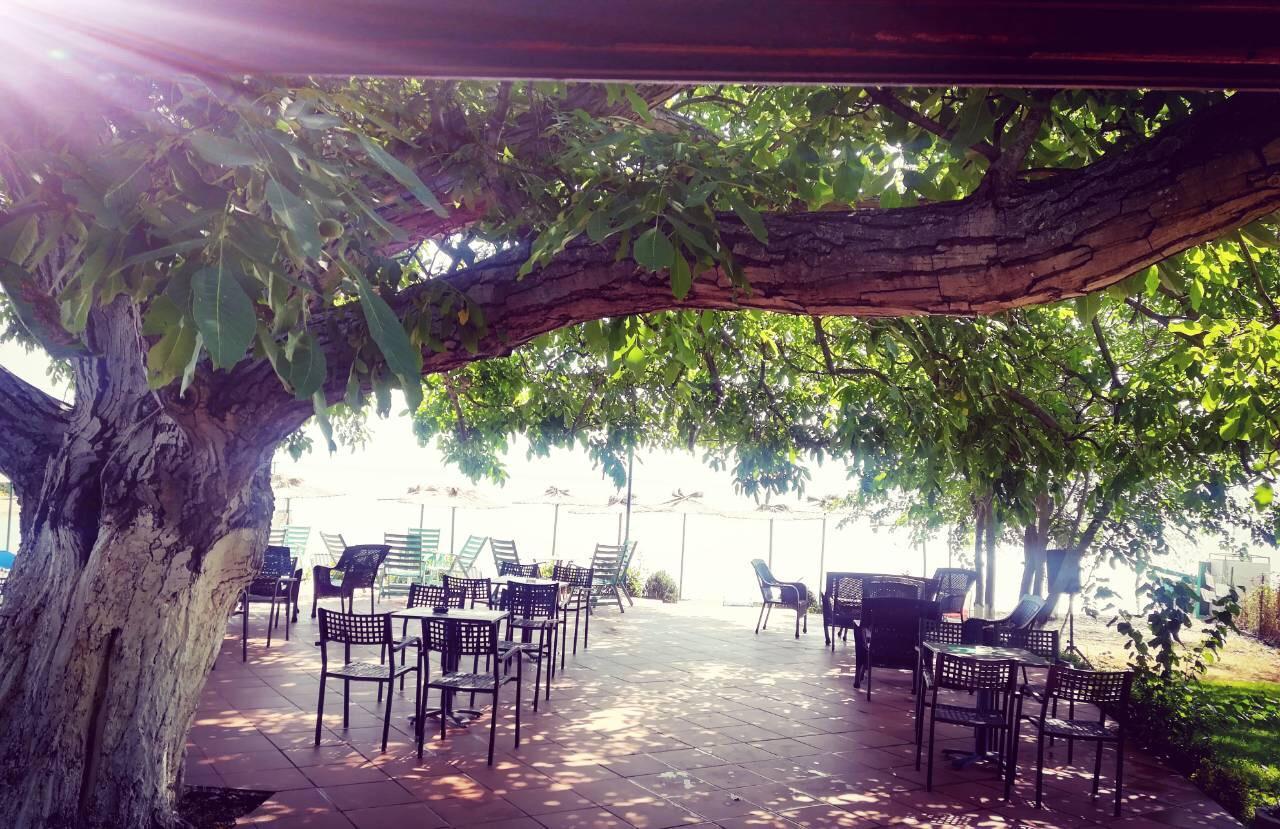 Apartmani Alex Beach Dojran Extérieur photo